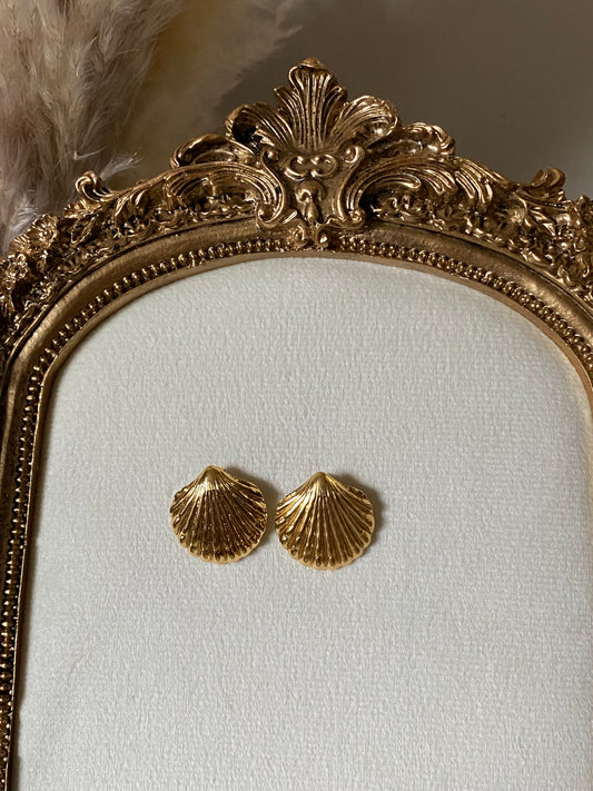 seashells