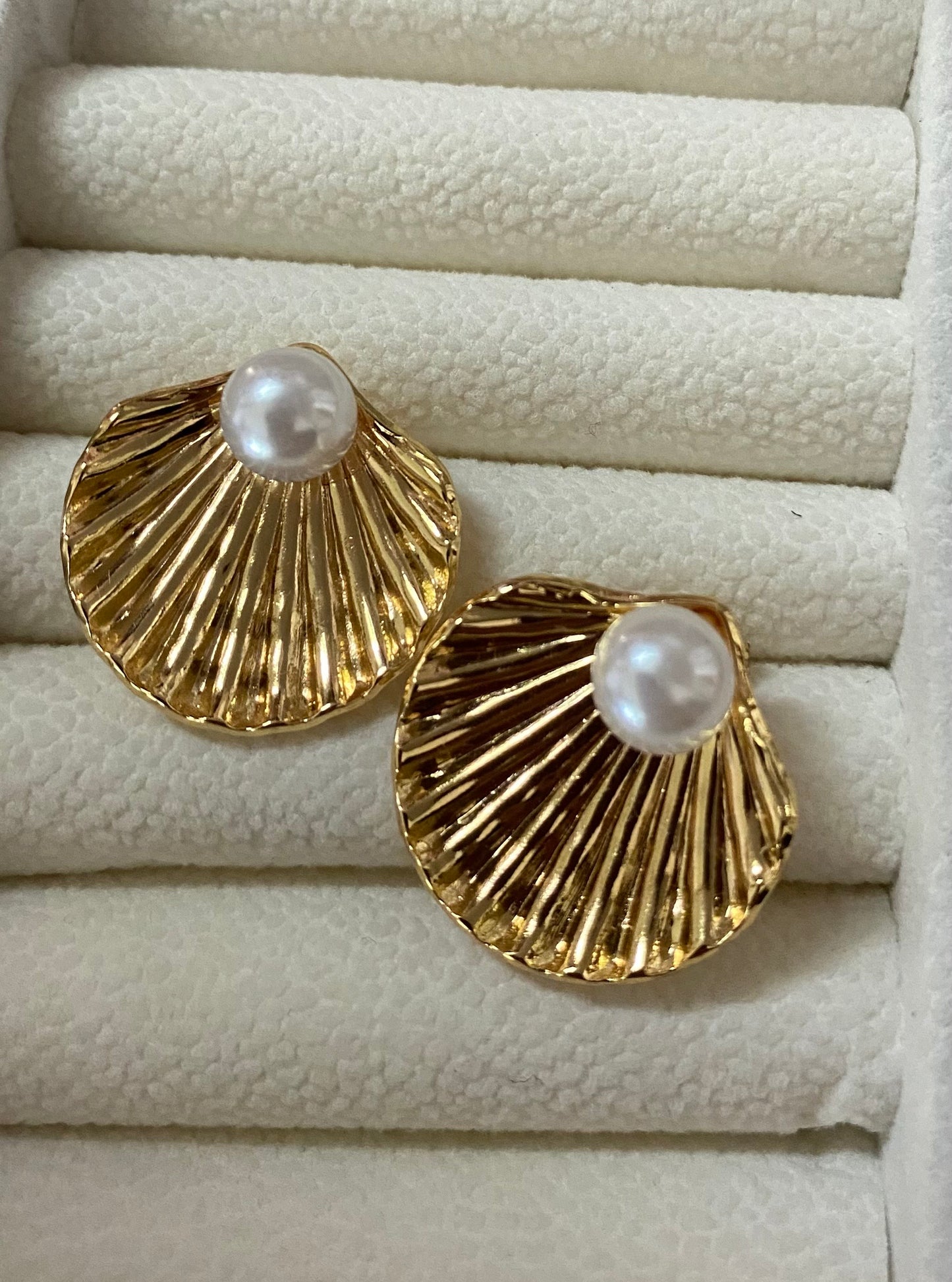 Shell earrings