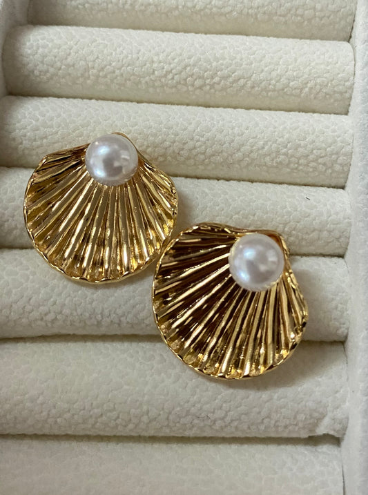 Shell earrings
