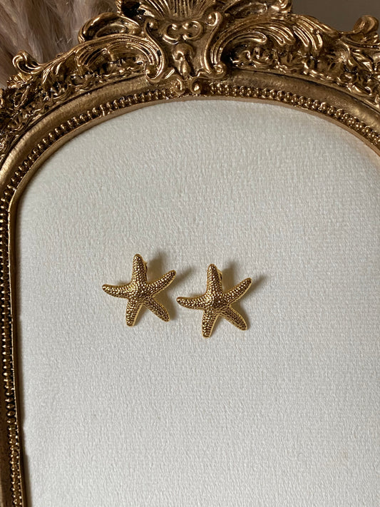 sea star earrings